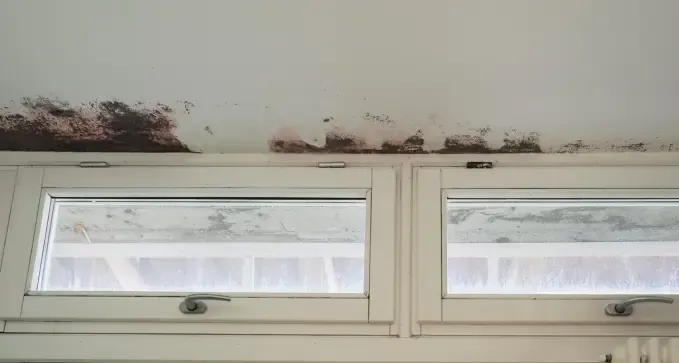 arreglarhumedadporfiltraciondeaguaencamponaraya leon 1920w