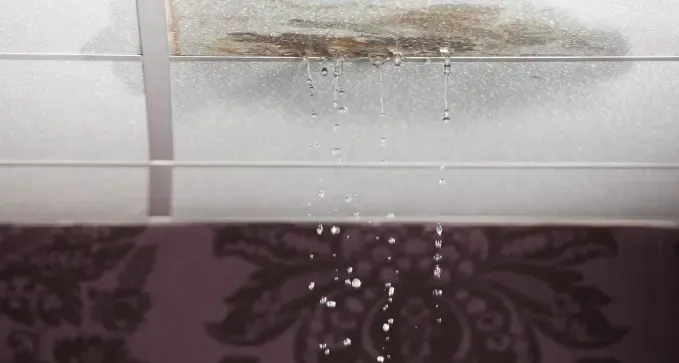 eliminarunafiltraciondeaguaeneltechoensahagun leon 1920w