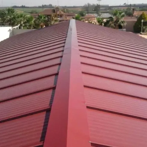 montajedetejadosdepanelsandwichenleon 490w